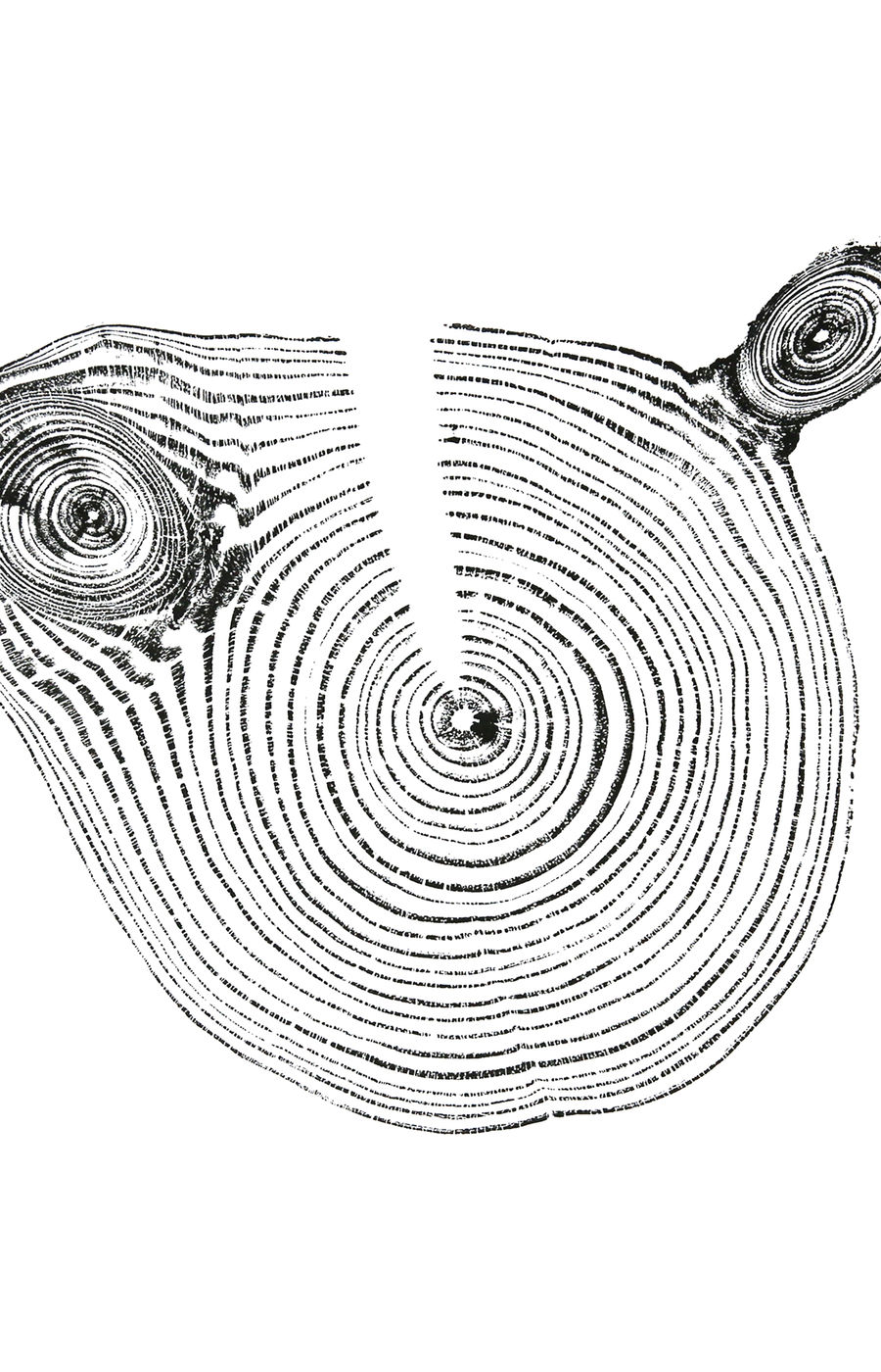 Black print of crosscut wood on white background.