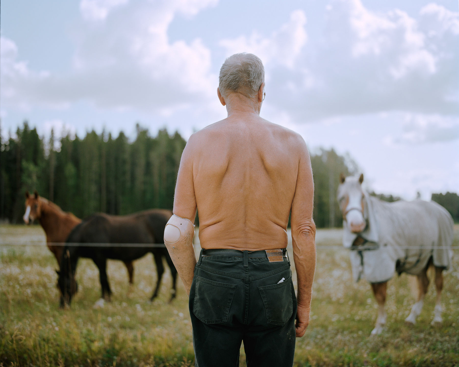 Ella Kiviniemi. Hevoset. 2019. 