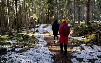 OF_walking-with-the-forest-FOTO-S-VanGaleen.jpg