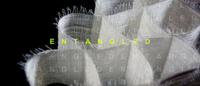 Entangled exhibition, title image. Image by Mithila Mohan. Photo by Maija Vaara.