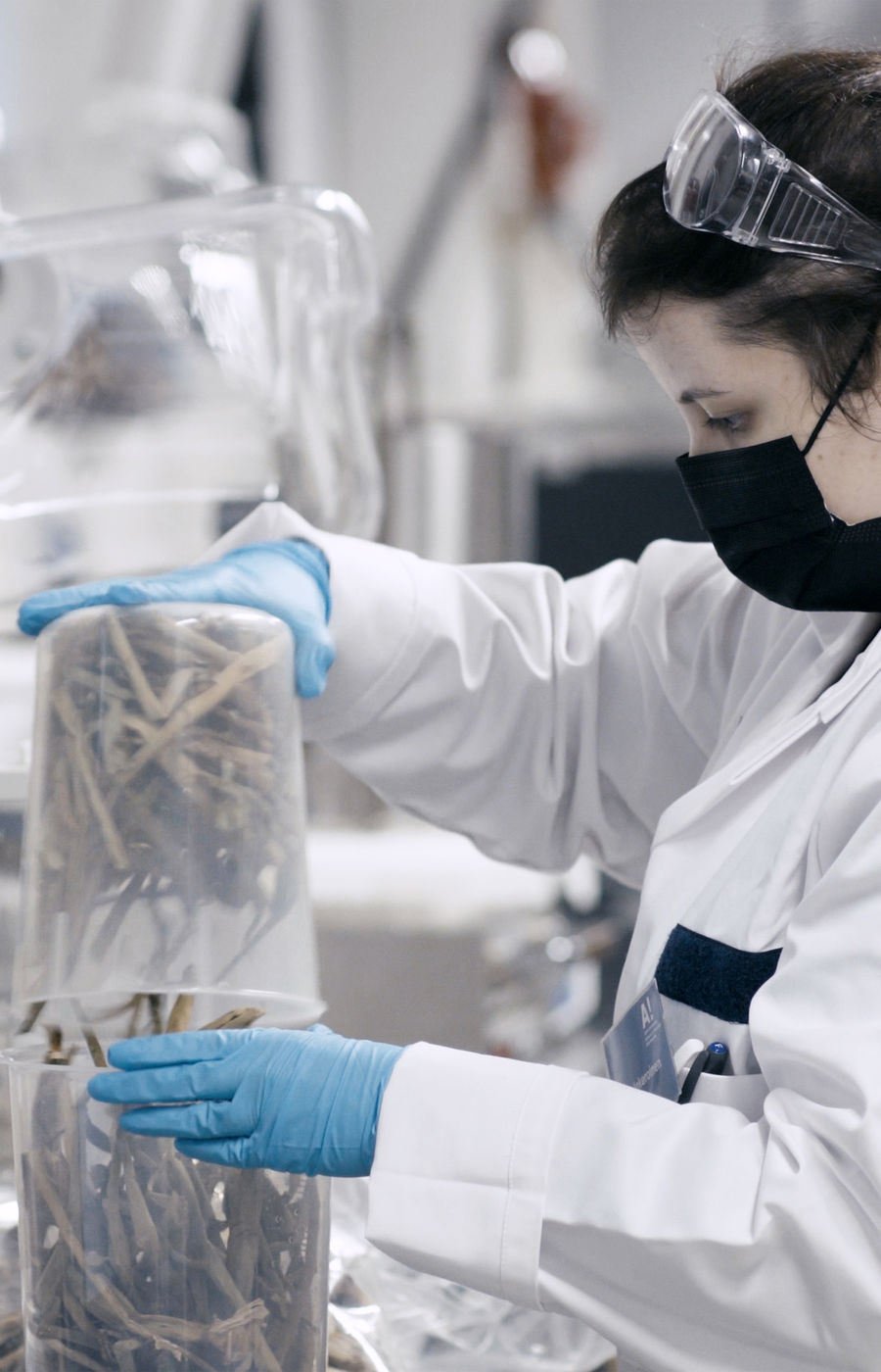 Person in laboratory working with plant waste.