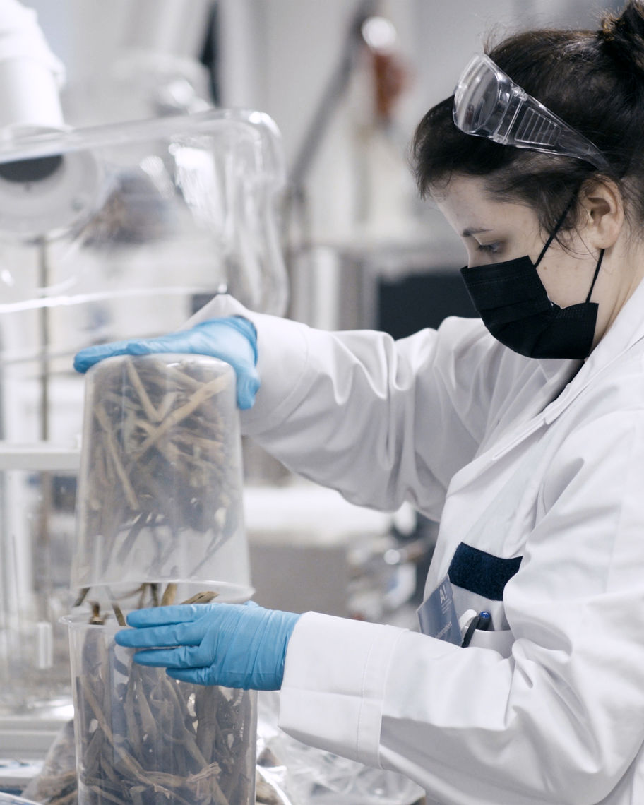 Person in laboratory working with plant waste.