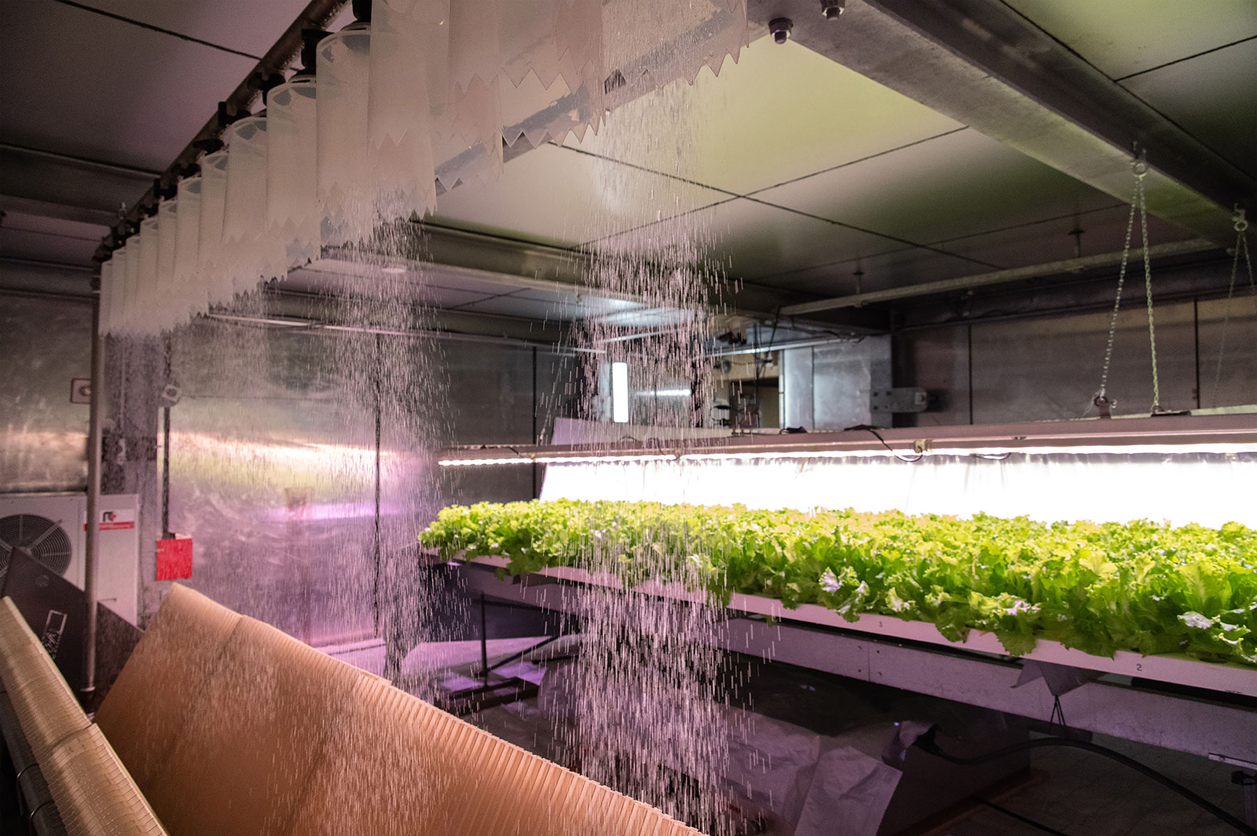 Photo from inside of the vertical farming house.